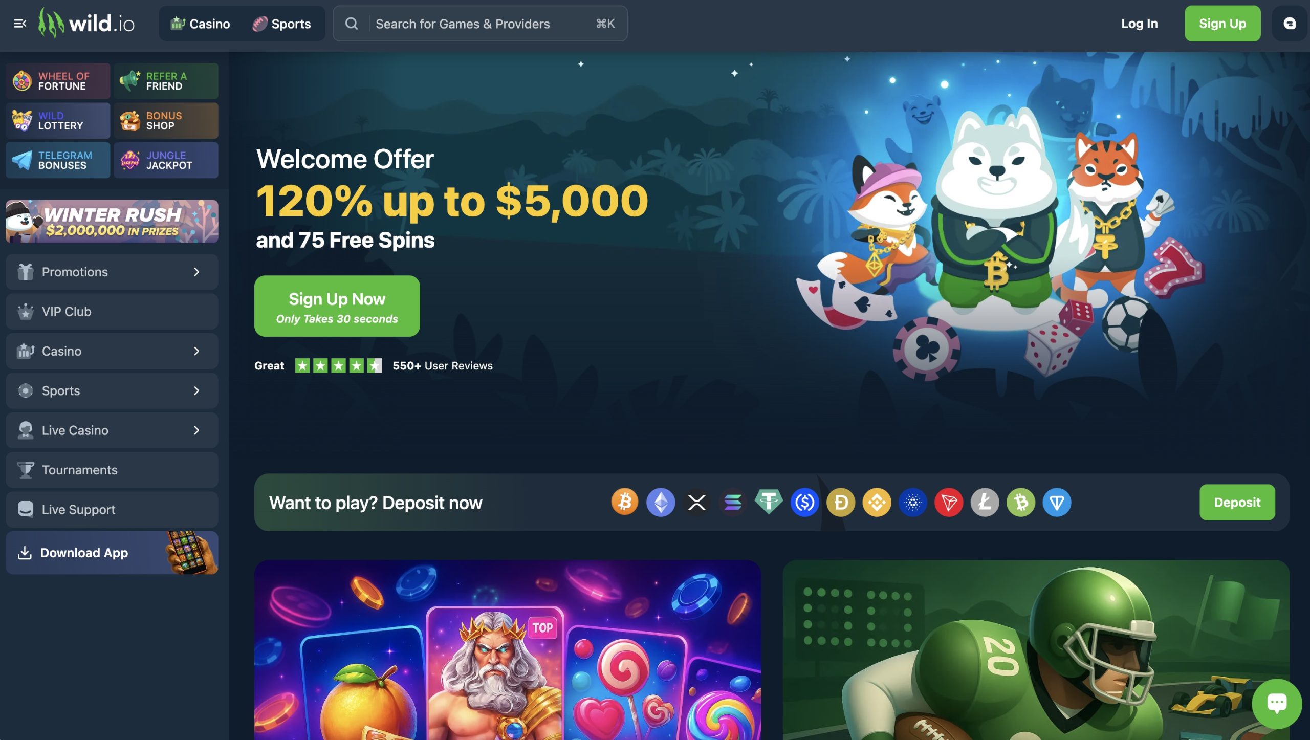 Wild.io Casino Online Florida